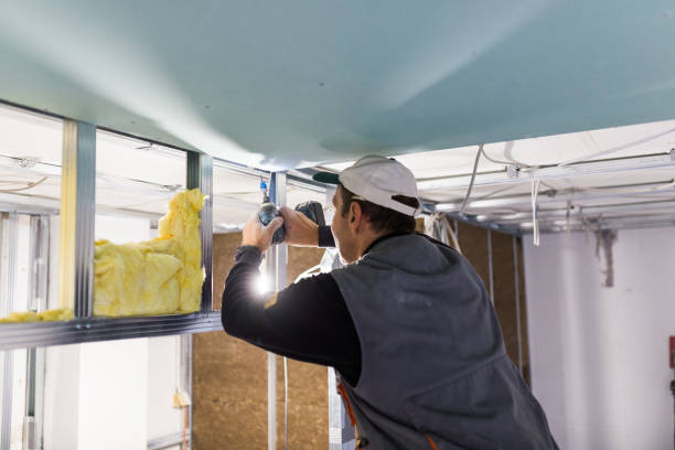 Best Specialized Insulation Services in Seeley Lake, MT