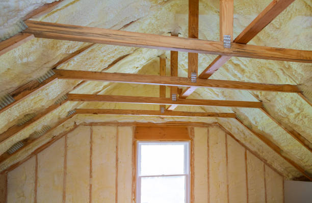 Best Geographic-Specific Insulation Services in Seeley Lake, MT