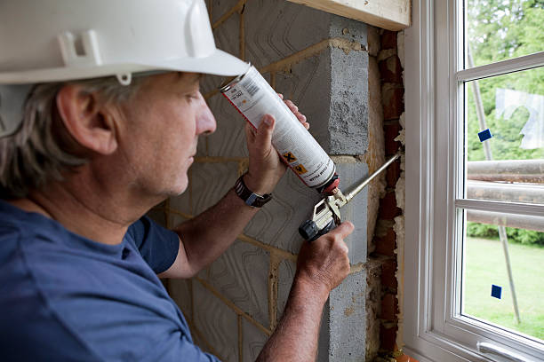 Best Insulation Maintenance and Repair in Seeley Lake, MT
