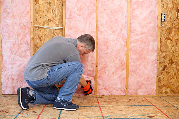 Best Cellulose Insulation in Seeley Lake, MT